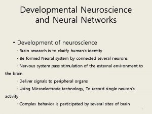 Developmental Neuroscience and Neural Networks Development of neuroscience