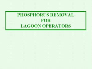 PHOSPHORUS REMOVAL FOR LAGOON OPERATORS WHY THE CONCERN