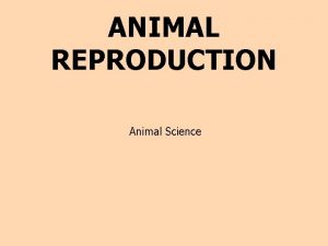 ANIMAL REPRODUCTION Animal Science Introduction Reproduction is the