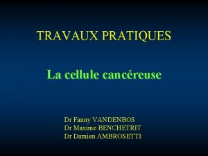 TRAVAUX PRATIQUES La cellule cancreuse Dr Fanny VANDENBOS