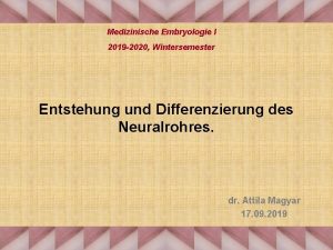 Medizinische Embryologie I 2019 2020 Wintersemester Entstehung und