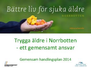 Trygga ldre i Norrbotten ett gemensamt ansvar Gemensam