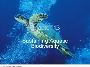 Chapter 13 Sustaining Aquatic Biodiversity AQUATIC BIODIVERSITY We