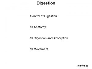 Digestion Control of Digestion SI Anatomy SI Digestion