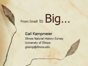 From Small to Big Gail Kampmeier Illinois Natural