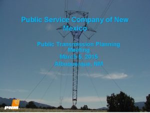 Public Service Company of New Mexico Public Transmission