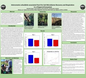 Heteromeles arbutifolia associated PostFire Soil Microbiome Recovery and