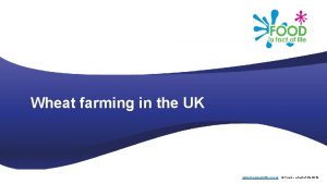 Wheat farming in the UK www foodafactoflife org