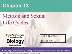 Chapter 13 Meiosis and Sexual Life Cycles Power