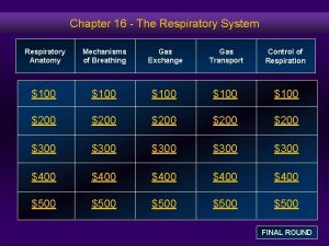 Chapter 16 The Respiratory System Respiratory Anatomy Mechanisms