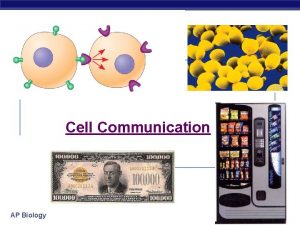 Cell Communication AP Biology The Cellular Internet All