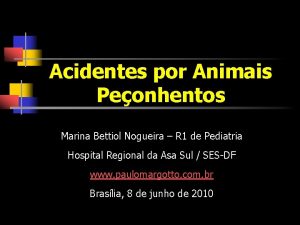 Acidentes por Animais Peonhentos Marina Bettiol Nogueira R