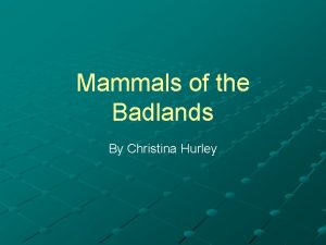 Mammals of the Badlands By Christina Hurley Badlands