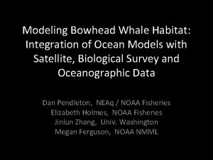 Modeling Bowhead Whale Habitat Integration of Ocean Models
