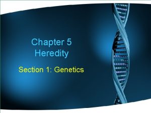 Chapter 5 Heredity Section 1 Genetics Genetics Heredity