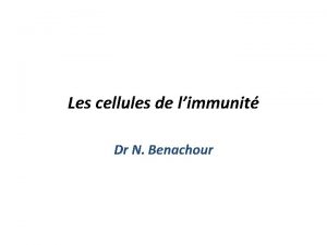 Les cellules de limmunit Dr N Benachour Les