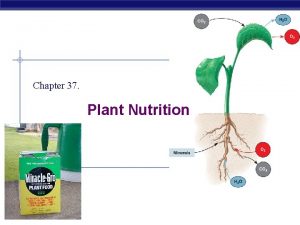 Chapter 37 Plant Nutrition Nutritional needs Autotrophic does