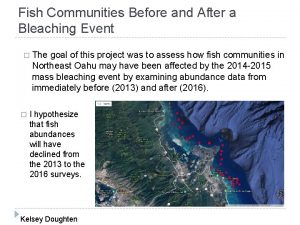 Fish Communities Before and After a Bleaching Event