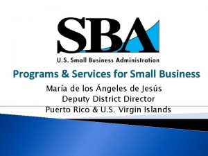 Programs Services for Small Business Mara de los