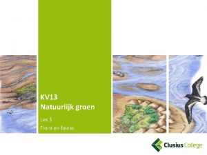 KV 13 Natuurlijk groen Les 5 Flora en