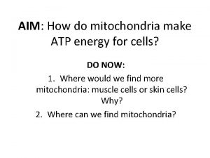 AIM How do mitochondria make ATP energy for