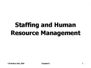 Staffing and Human Resource Management Prentice Hall 2001