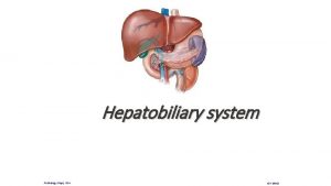 Hepatobiliary system Pathology Dept KSU GIT Block Normal