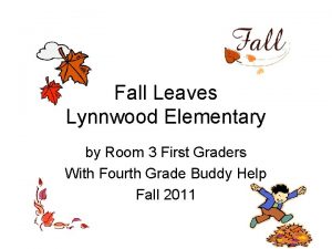 Fall Leaves Lynnwood Elementary by Room 3 First