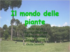 Il mondo delle piante Giulia Baruti Federica Chiabrera