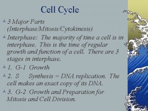 Cell Cycle 3 Major Parts InterphaseMitosisCytokinesis Interphase The