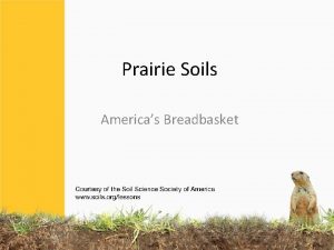 Prairie Soils Americas Breadbasket Most of OUR FOOD