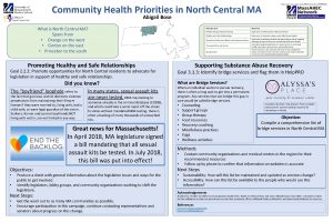 Community Health Priorities in North Central MA Abigail
