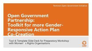 Feminist Open Government Initiative Open Government Partnership Toolkit