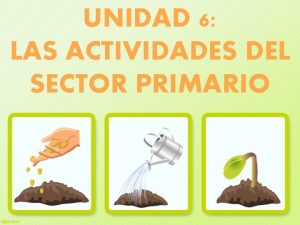 UNIDAD 6 LAS ACTIVIDADES DEL SECTOR PRIMARIO 1