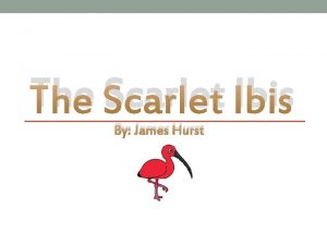 The Scarlet Ibis By James Hurst Protagonist The