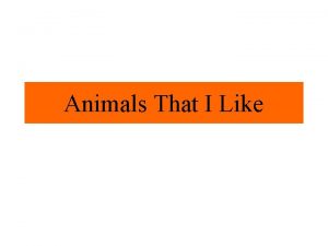 Animals That I Like Animals That I Chose