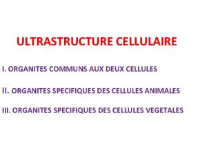 ULTRASTRUCTURE CELLULAIRE I ORGANITES COMMUNS AUX DEUX CELLULES