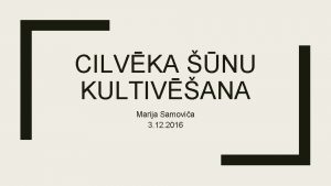 CILVKA NU KULTIVANA Marija Samovia 3 12 2016