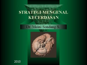 STRATEGI MENGENAL KECERDASAN Dr Meini Sondang S 2010