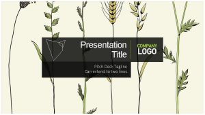 Presentation Title Pitch Deck Tagline Can extend to