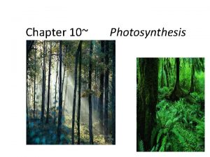 Chapter 10 Photosynthesis Photosynthesis in nature Auautotrophs biotic