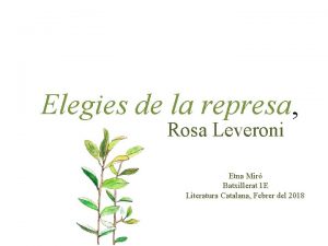 Elegies de la represa Rosa Leveroni Etna Mir