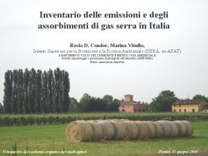 Inventario delle emissioni e degli assorbimenti di gas