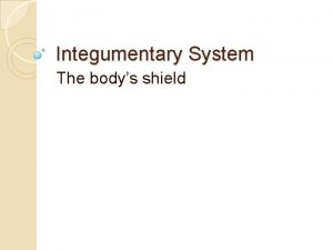 Integumentary System The bodys shield Integumentary System Skin