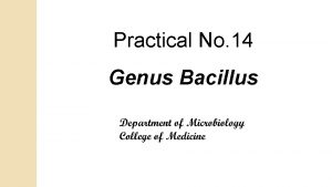 Practical No 14 Genus Bacillus Genus Bacillus Pathogenic