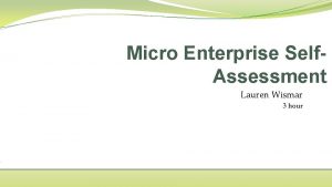 Micro Enterprise Self Assessment Lauren Wismar 3 hour