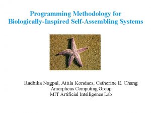 Programming Methodology for BiologicallyInspired SelfAssembling Systems Radhika Nagpal