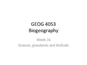 GEOG 4053 Biogeography Week 16 Grasses grasslands and