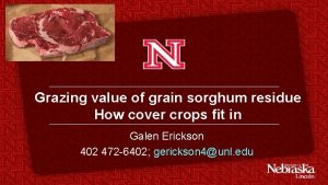 Grazing value of grain sorghum residue How cover