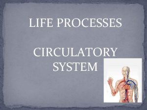 LIFE PROCESSES CIRCULATORY SYSTEM Why is the Circulatory